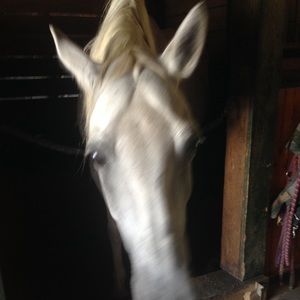 Meet your Posher, Jen